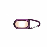 Purple Carabiner Camping Light