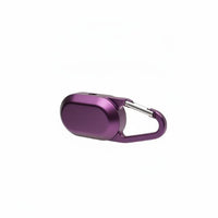 Purple Carabiner Camping Light